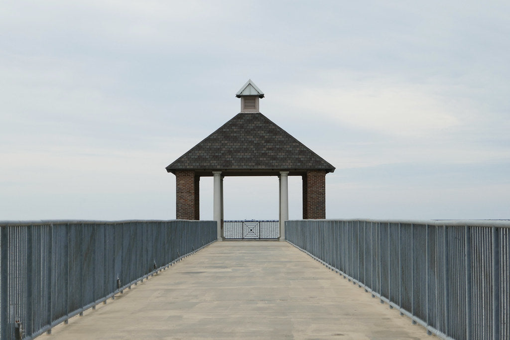 Fountainbleu State Park: Mini Sessions